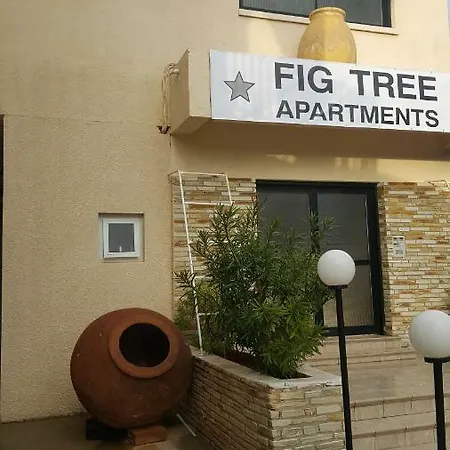 Apartment Fig Tree