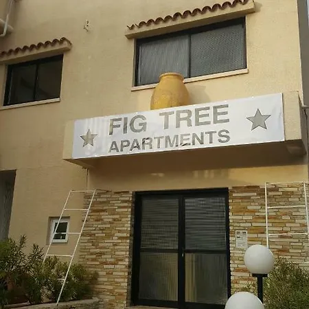 Fig Tree Apartment