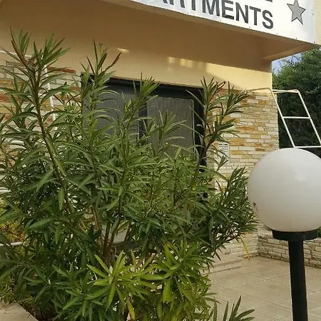 Apartment Fig Tree *